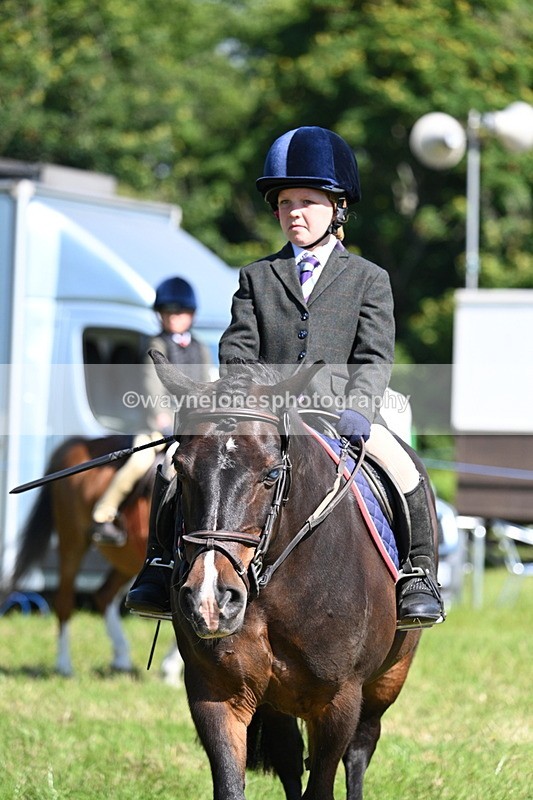 WJ7_0720 - Class 8 First Rally Pony