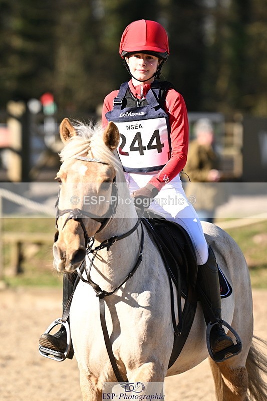 250302A-101111-01424 - Cls 01 70-75cm