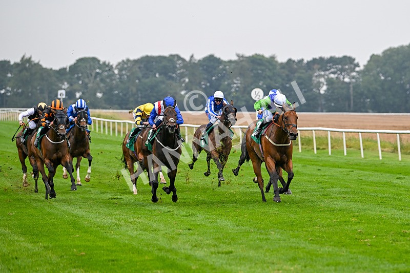 070924-Race 4-Kings Merchant-7537 - Race 4