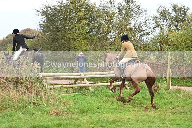 WJ7_0336 - Camera 1 & Last fence