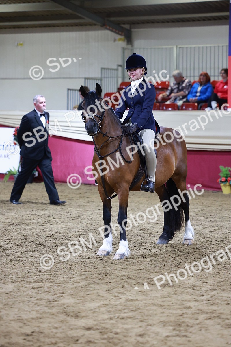 SBM_21287 - Class S - Style & Performance Champ