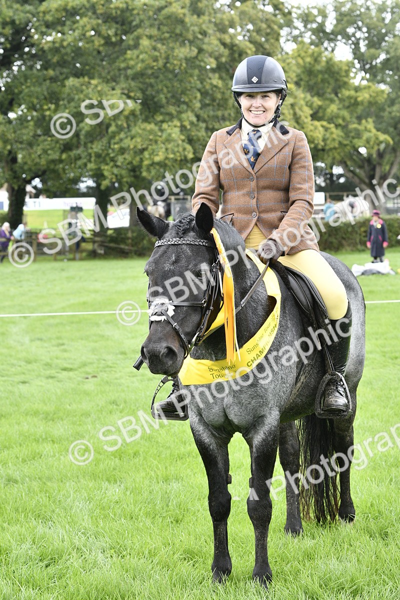 SBM_38276 - S31 - Novice & Newcomer Working Hunter Pony