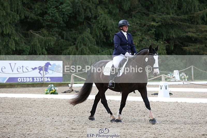 230812-111714-03717 - Cls 5 Novice Bronze 11.15 to 12.50 break