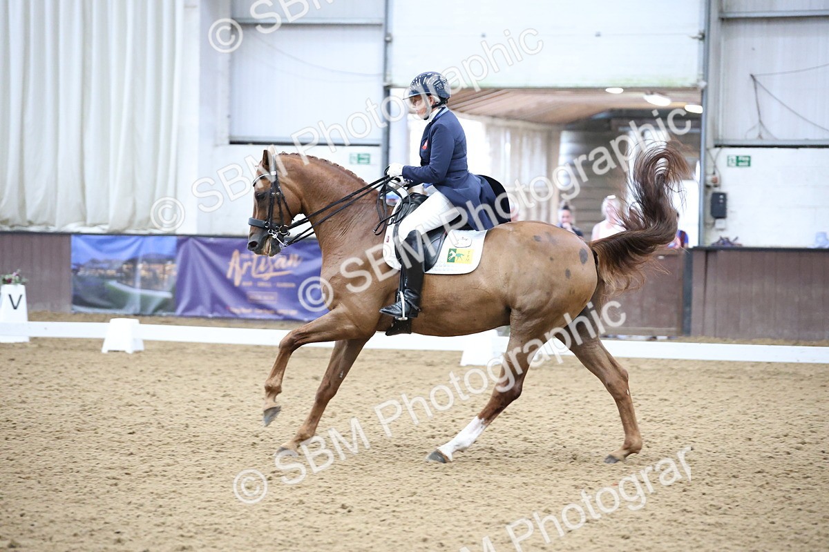 SBM_004754 - Class 9 - FEI Inter 1 Gold - 16.59-17.47