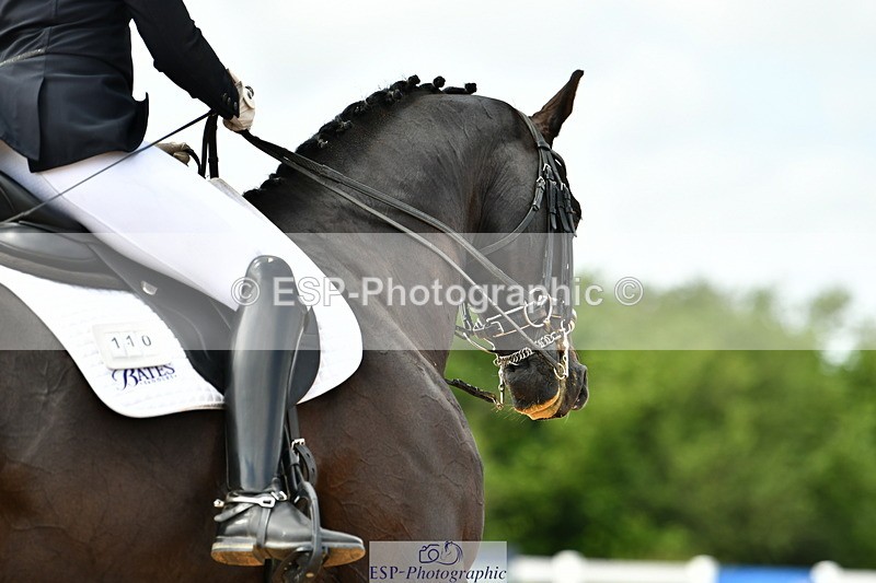 230702A-152018-10895 - Cls 34 Adv Medium 91