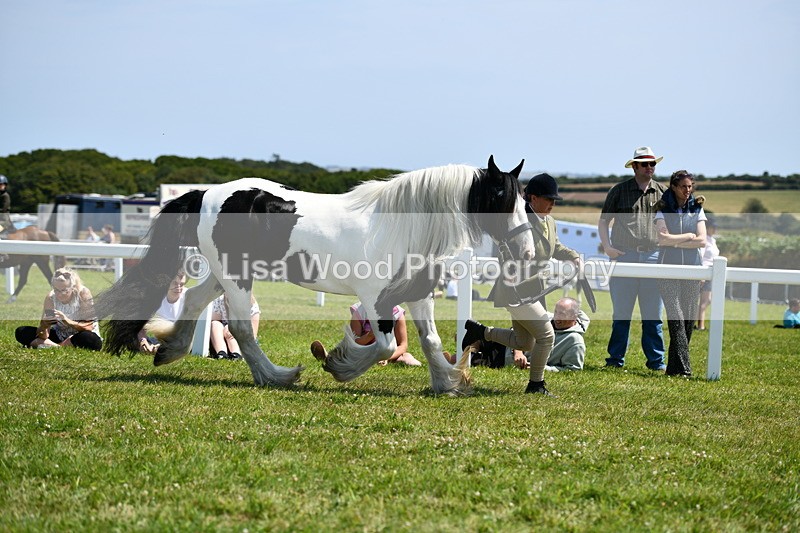 DSC_7626 - Class 64: Coloured Pony 4yrs & over