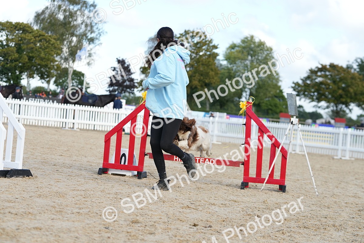 SBM_29154 - J43 - Horse & Hound Open 50cm