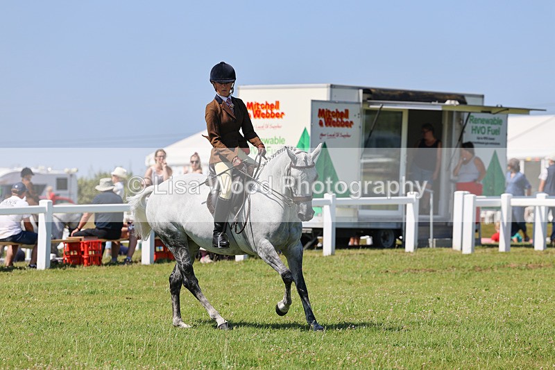 IMG_2177 - Class 36: Part Bred Ridden M & M