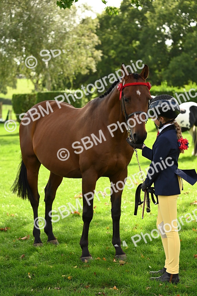 SBM_25031 - S5 - Novice & Newcomer In hand