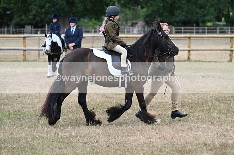 WJ7_6631 - Class 1 Lead Rein Pony