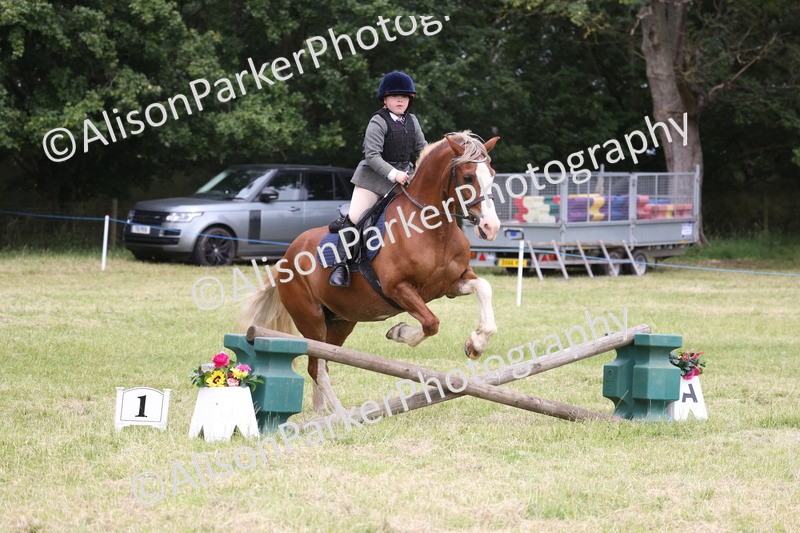 20260614-3078 - Class 22 - Open Working Hunter