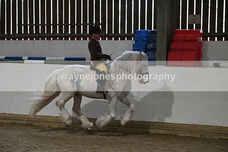 WJ7_4234 - Class 17 Ridden Cob