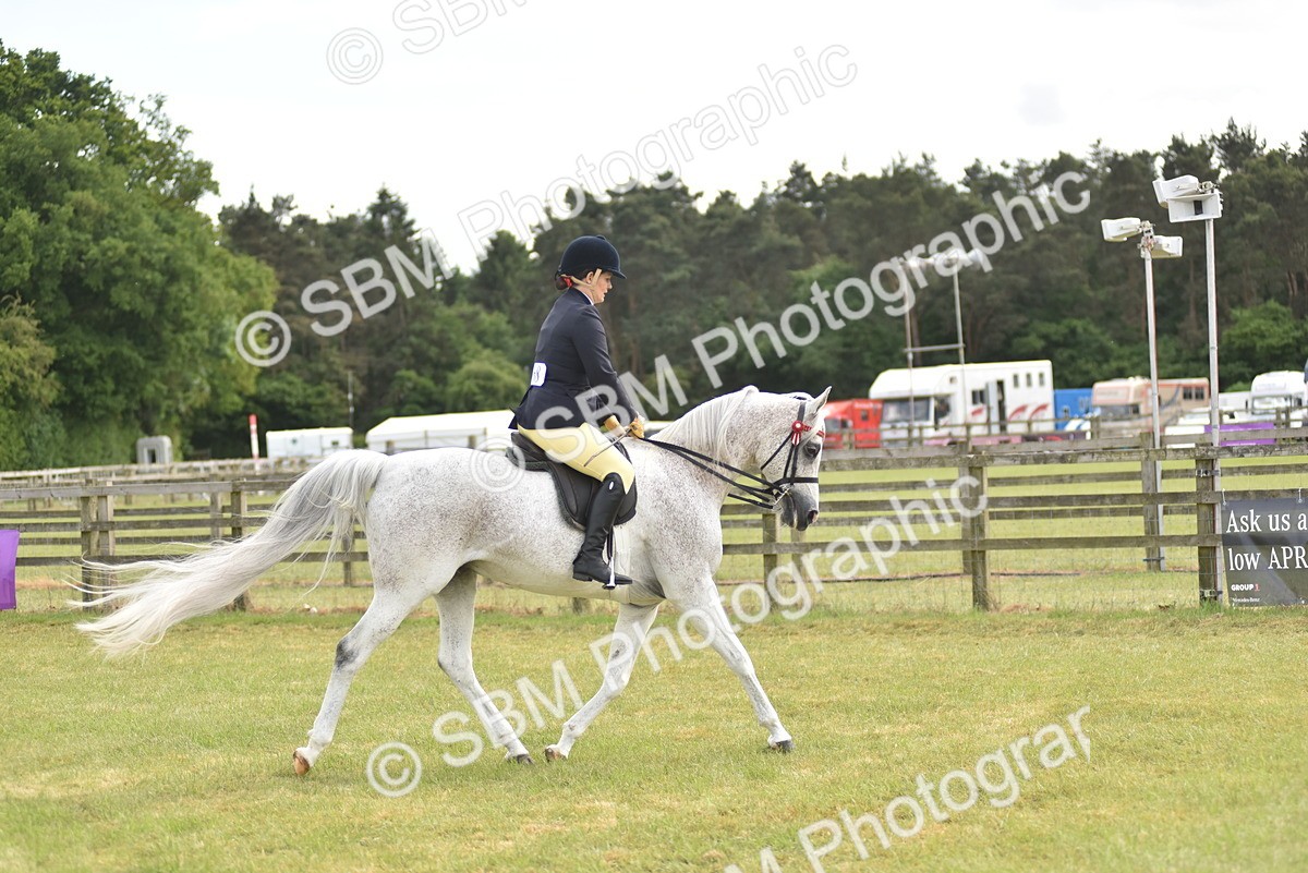SBM_18159 - Class 122-123 - LIHS BHSA Raising Star Style and Performance Series