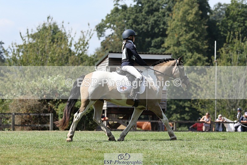 250823A-133507-31322 - Arena D