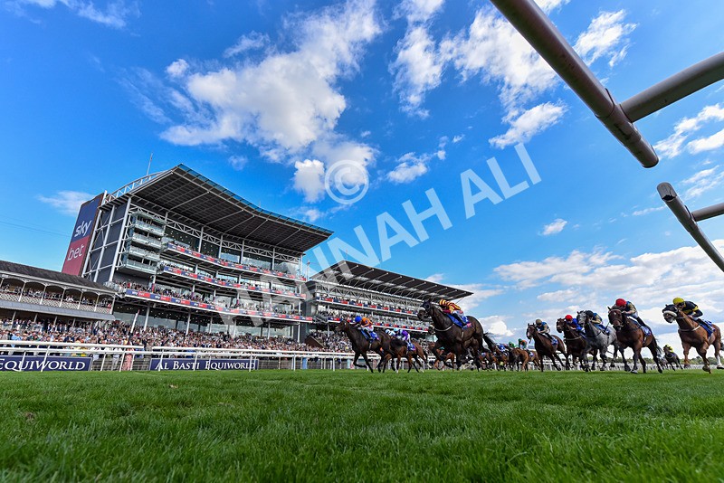 220826-Race 5-Sondad-6176 - Race 5 16.10pm Sky Bet Constantine Handicap