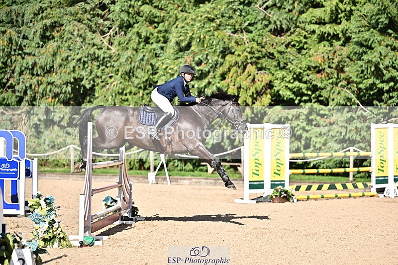 260906A-161112-04597 - Cls 24 Snr Foxhunter