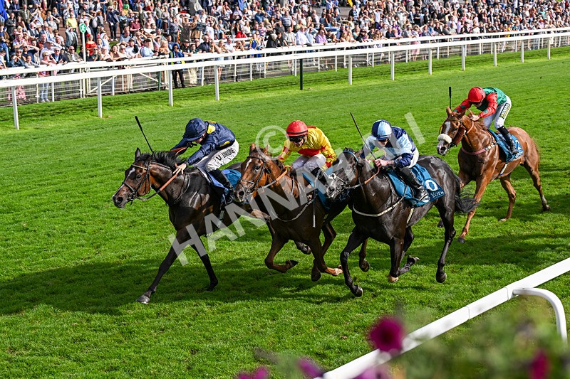 060926-Race 6-Power Fizz-0397 - Race 6 4.25pm Eboracum Security Handicap