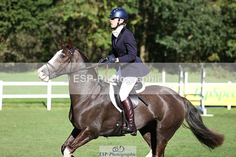 231022-143548-28233 - 440-LODOR.CARL-Katie.Mathias-TrotUp+SJ