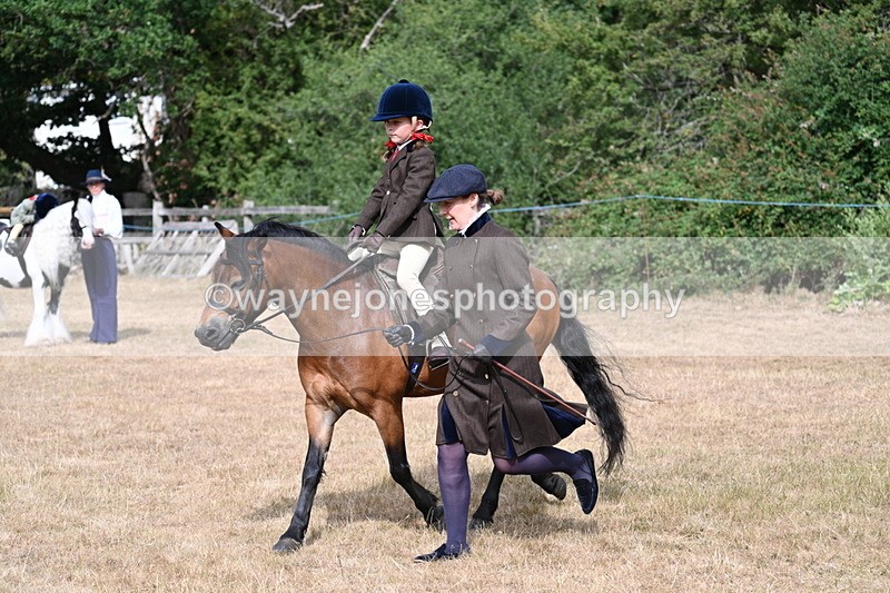WJ7_6511 - Class 1 Lead Rein Pony