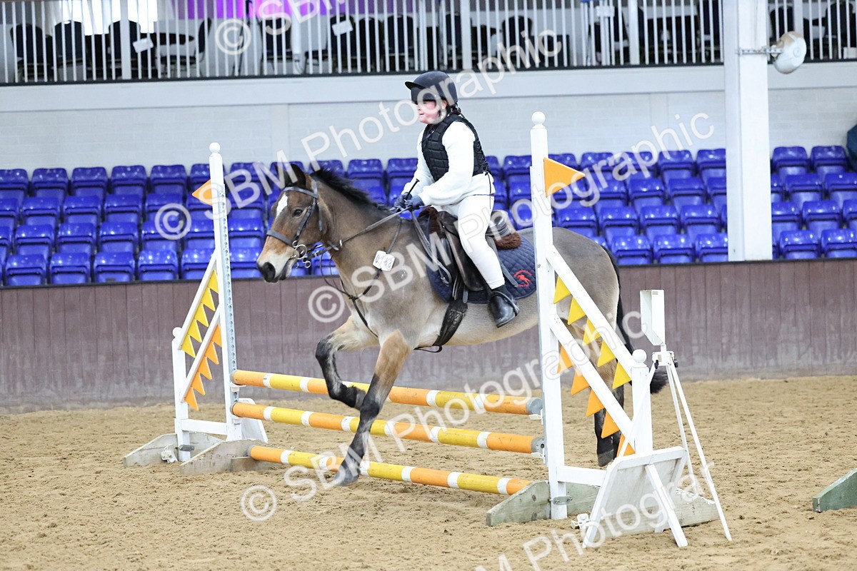 SBM_001053 - Class 3 - Christmas Tree Stakes - 60cm