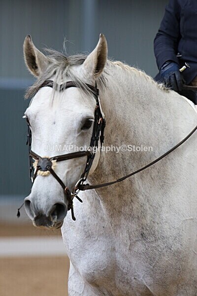 SIAL8578 - GDG Bogenraith Friday 26th Sept 2025