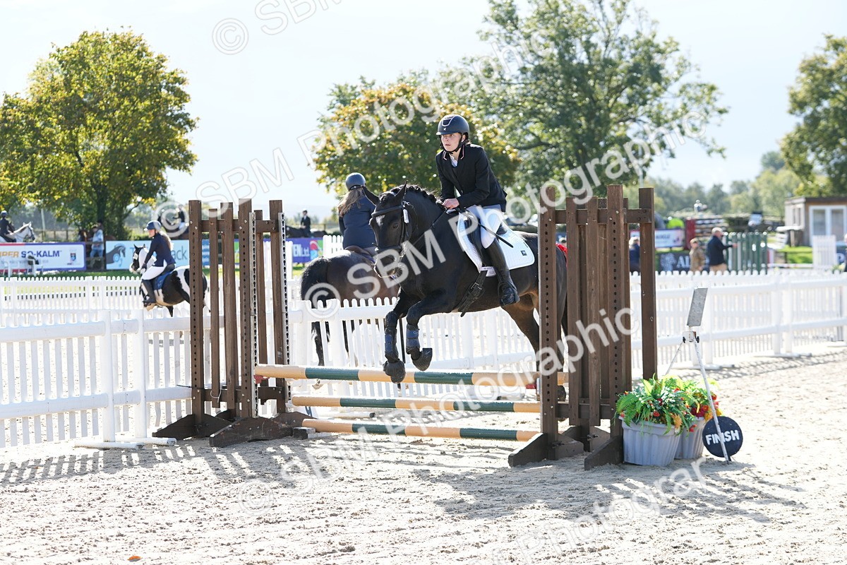 SBM_38151 - J6 - Junior Pony 55cm Championship