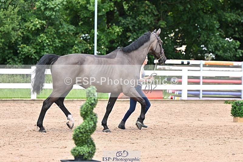 240718A-105323-01935 - Trot Up 2pm to 3pm - This folder is not in time order