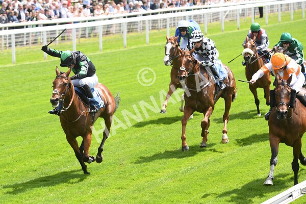 yr10062022r1-19 - Race 1 2.00pm Constant Security Gentlemen Amateur Riders Stakes