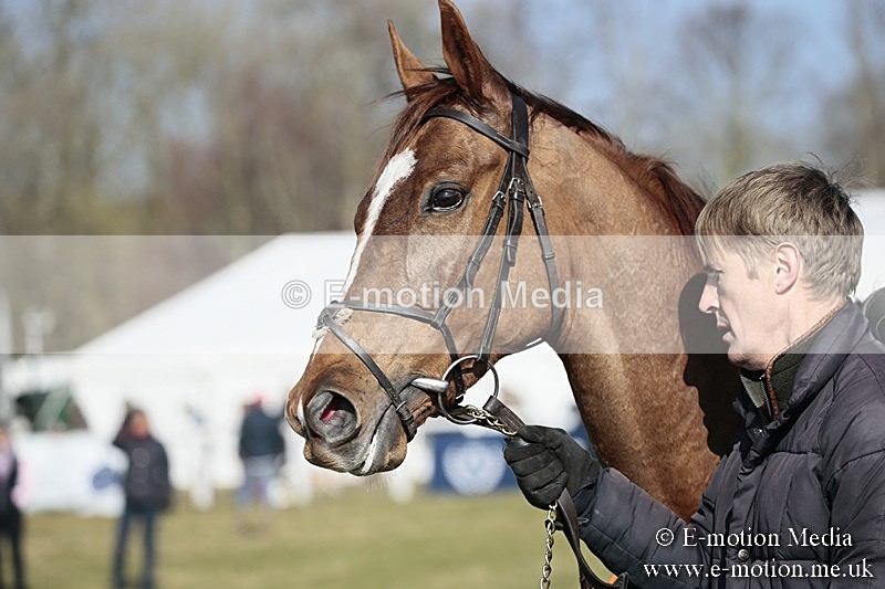 PtP 240218 112 - Vine & Craven Hunt Point-to-Point Barbury racecourse 24/02/18