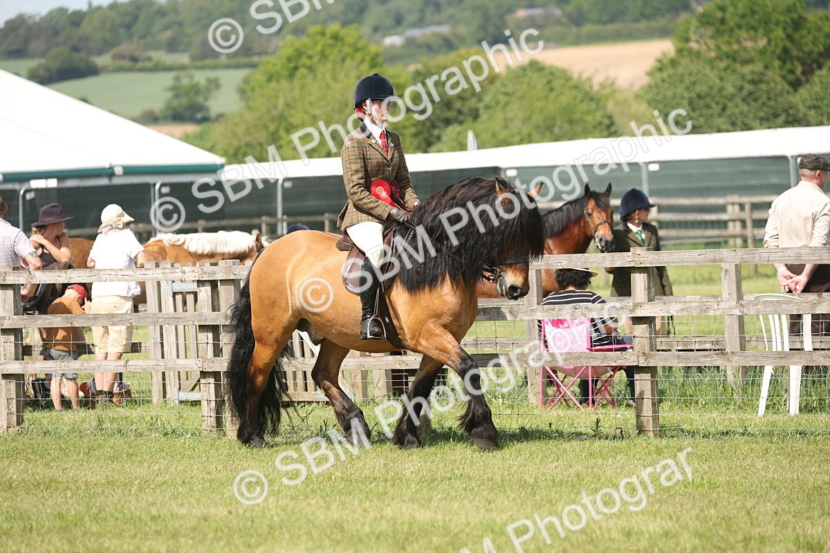 SBM_07666 - Class 26-30 - Mountain and Moorland Ridden