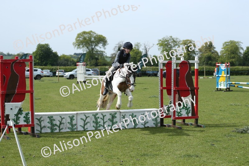 20260426-1771 - Class 14 - Novice 60cm
