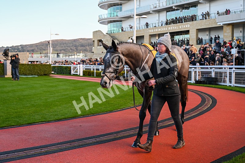 141224-Race 1-Total Look-0290 - Race 1
