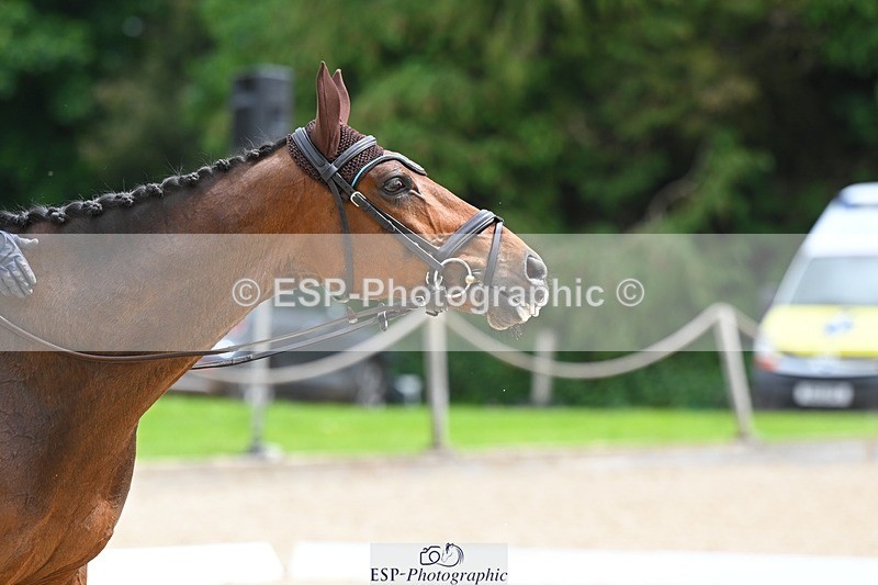 240524-113724-08950 - 519-BLUES_CLOUD-Louise_Harwood