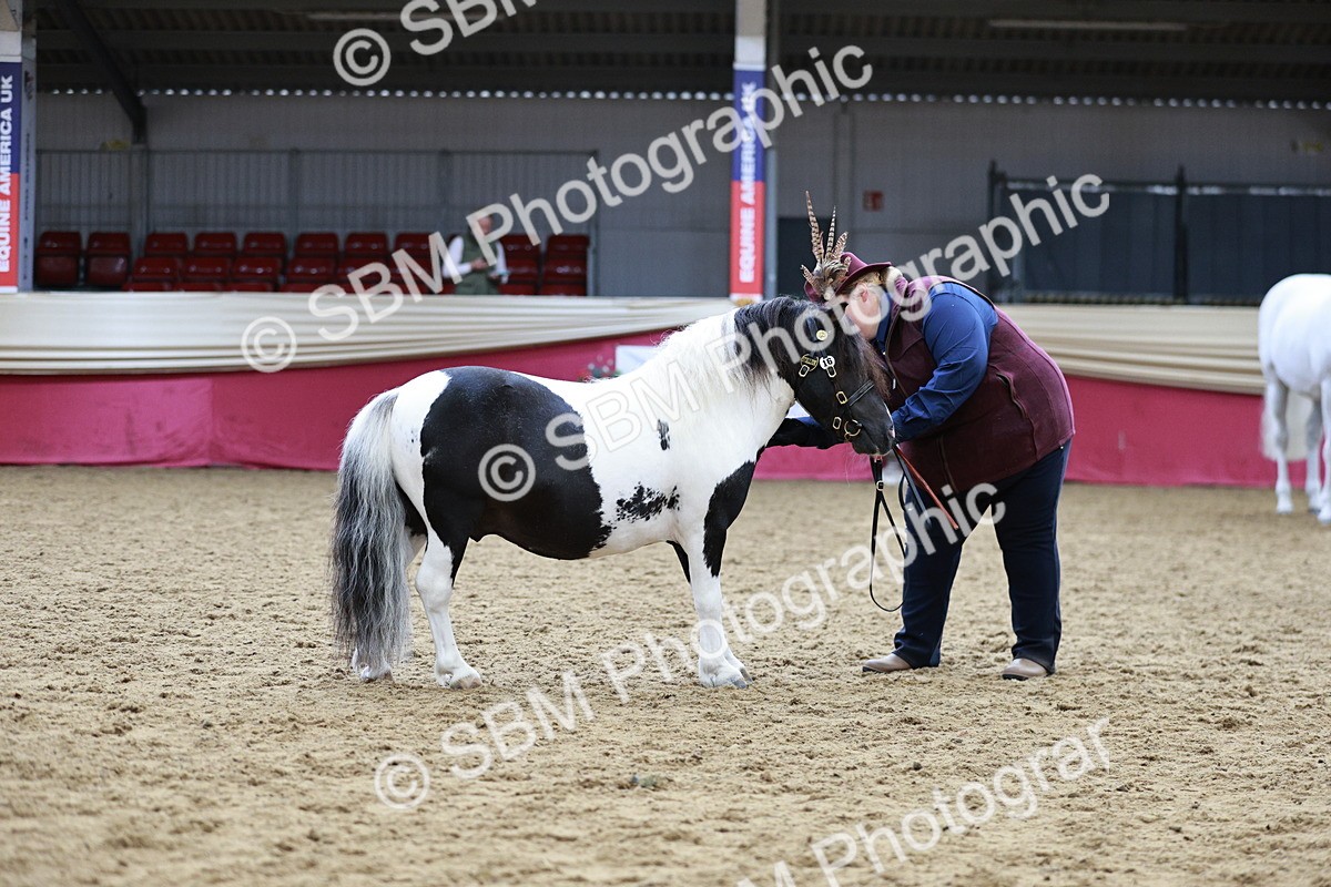 SBM_01267 - Class 3A - Area IH Pre-Vet