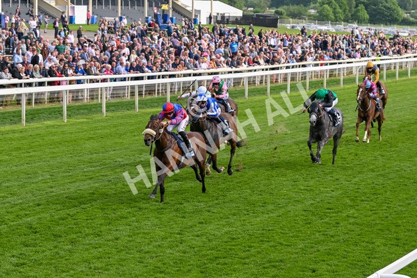 160524-Race 5-Big Evs-6319 - Race 5 4.15pm  British Stallion Studs EBF Westow Stakes