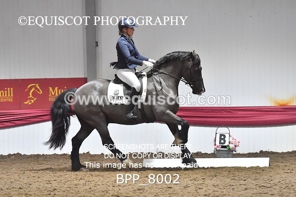 BPP_8002 - ELEM TEST 6