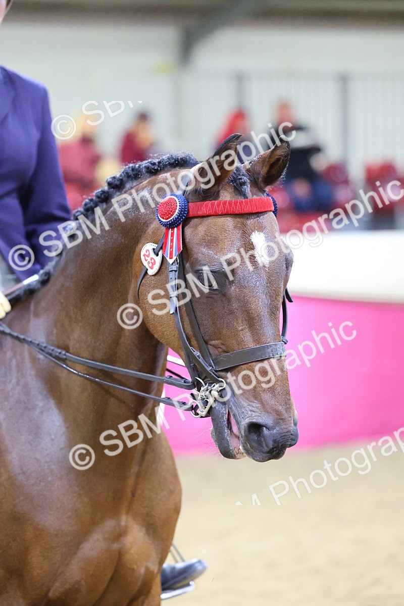 SBM_19007 - Class G Ridden Pony Champ