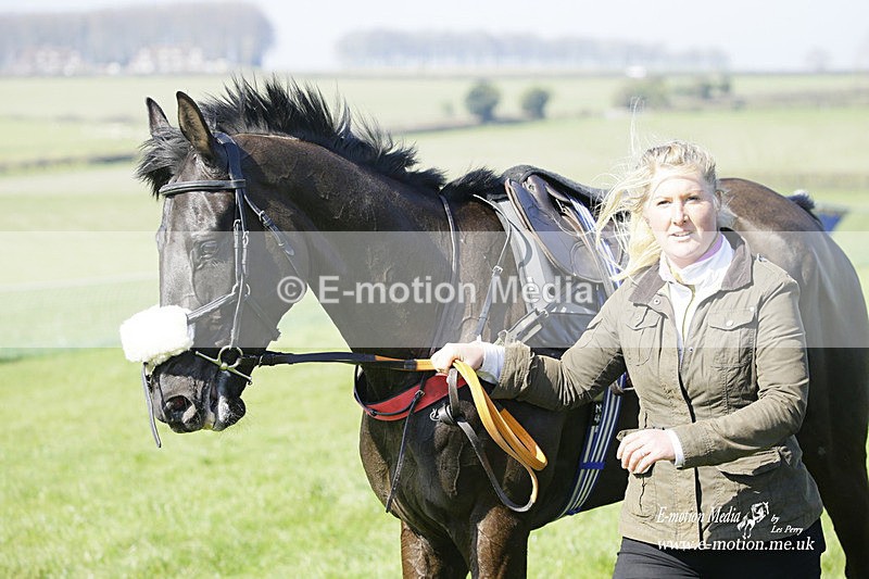 PtP 190322 252 - Wilton Hunt PtP Milborne St Andrew 19/03/22