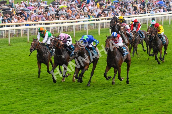 100923-Race 6-Anjo Bonita-1069 - Race 6 4.25pm Hanson Springs 60th Anniversary Handicap at York