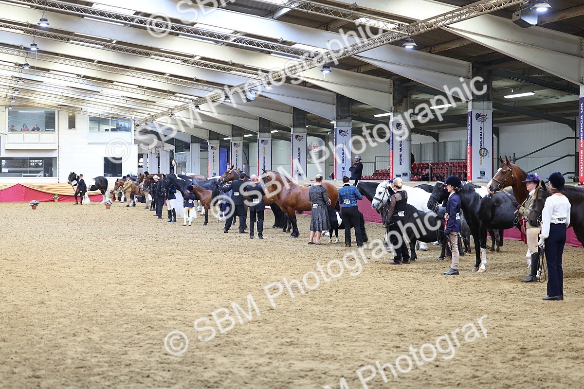 SBM_22994 - Class 903 - Supreme Final - IH Pre Vet