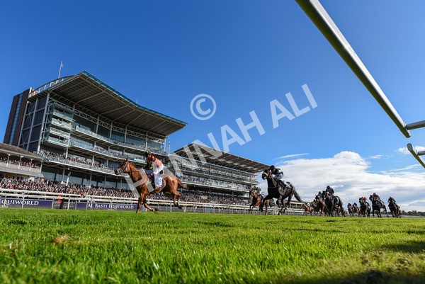 141023-Race 3-Montassib-3972 - Race 3 2.25pm Coral Sprint Trophy Handicap