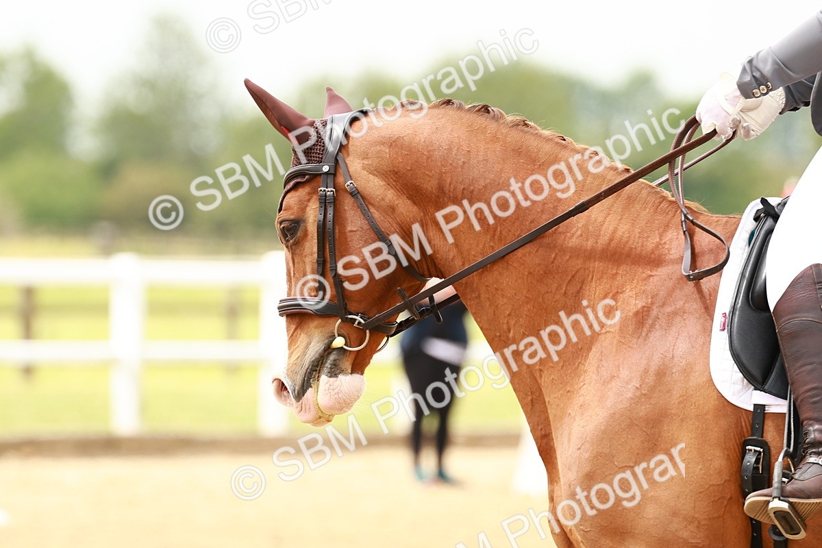 SBM_002007 - Class 9 - Elementary 4