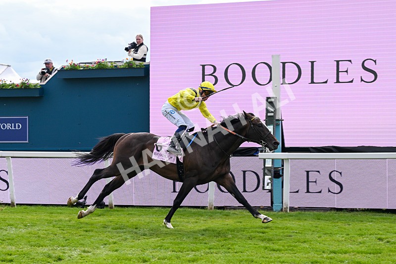 150526-Race 5-Rahiebb-8140 - Race 5 4.05pm Boodles Yorkshire Cup Stakes