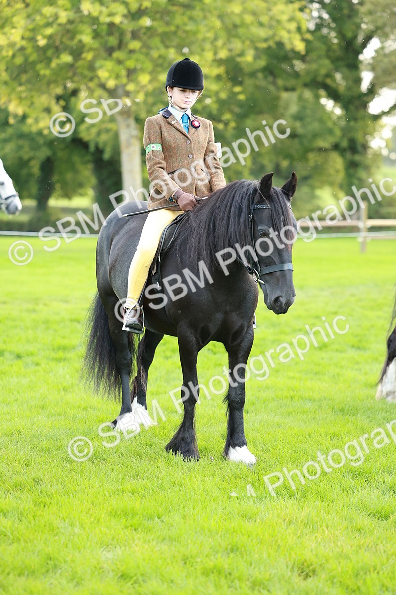 SBM_28850 - S7 - Novice & Newcomer Ridden Pony