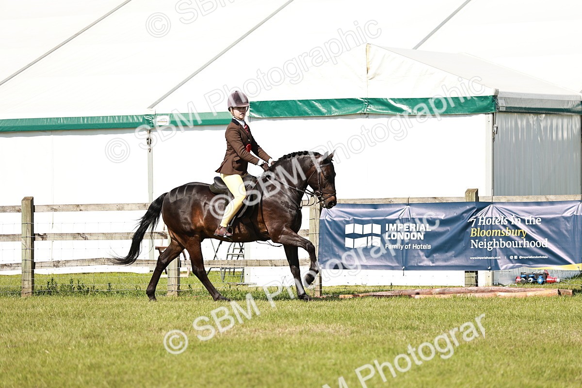 SBM_18526 - Class 112-113 - BSPS LIHS Working Sports Pony