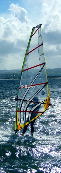 wind surfer