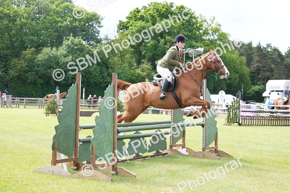 SBM_12906 - Class 99 - RIHS SEIB Working Show Horse