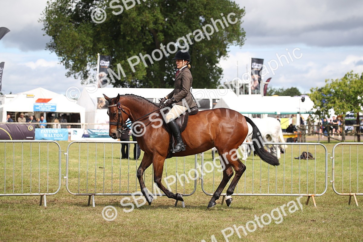 SBM_13250 - Class 95-96 - LIHS BSHA Rising Star Hack Riding Horse