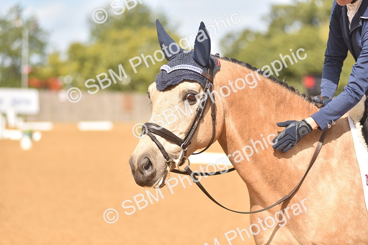 SBM_42317 - D22 - Junior Championship Intro 3