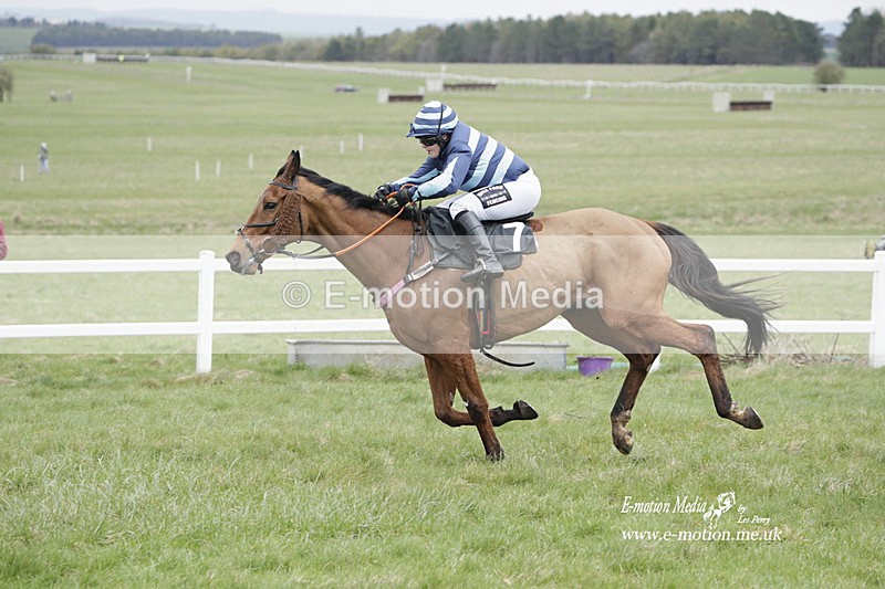 PtP 260323 0519 - New Forest Hounds Point-to-Point Larkhill 26/03/23